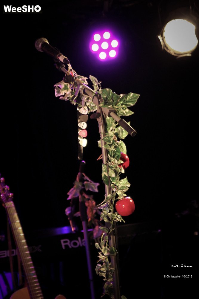 26/50 photos du spectacle Baz´art à Nanas